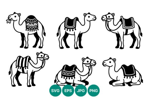 Black and White Camel Line Art: Graphics & Illustrations