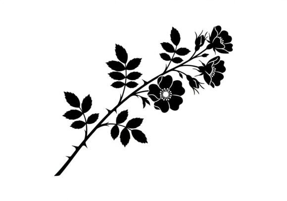 Black Silhouette Rose Branch Graphics & Illustrations